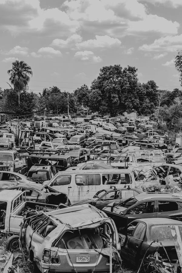 Les avantages inattendus de l'enlèvement d'épave